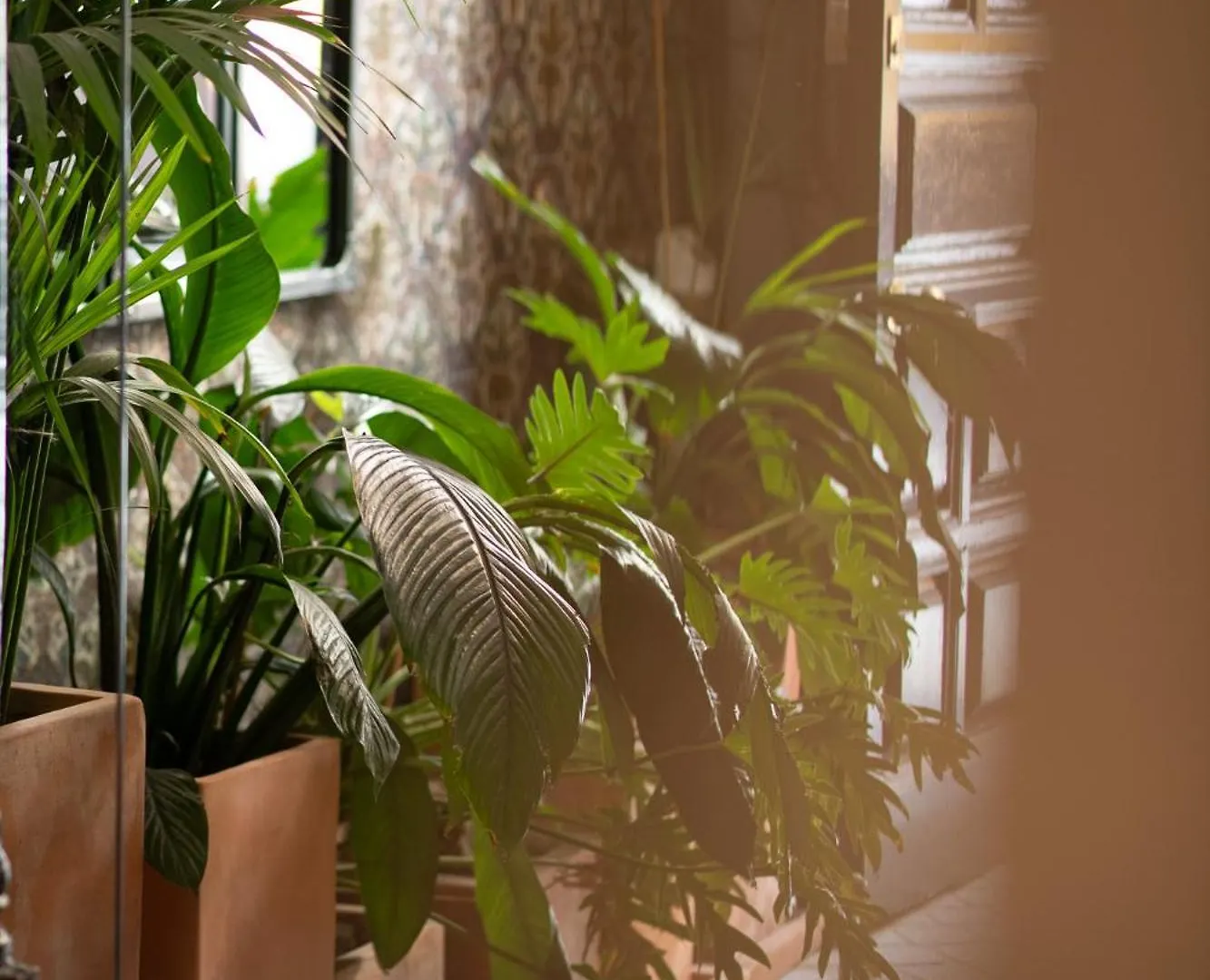 The Honest Hotel & Apartments إشبيلية